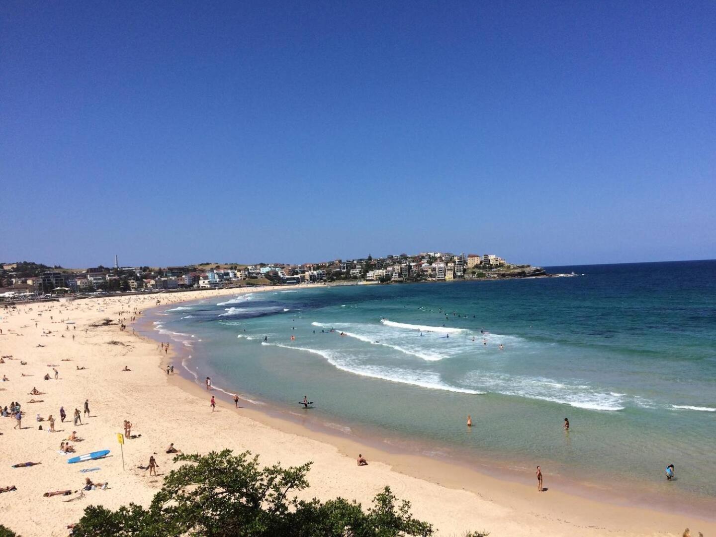 Apartment Ocean Views Light-filled Bondi Sydney